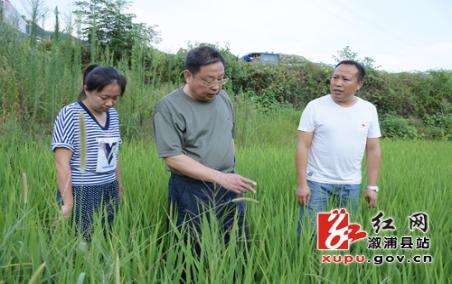抗旱救灾要突出保民生保收成——蒙汉深入乡镇指导抗旱救灾工作